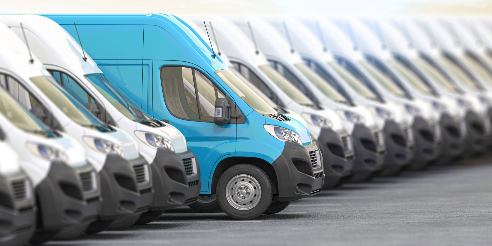 blue-van-fleet